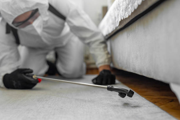 Professional Pest Control technician working in Murray County County, MN